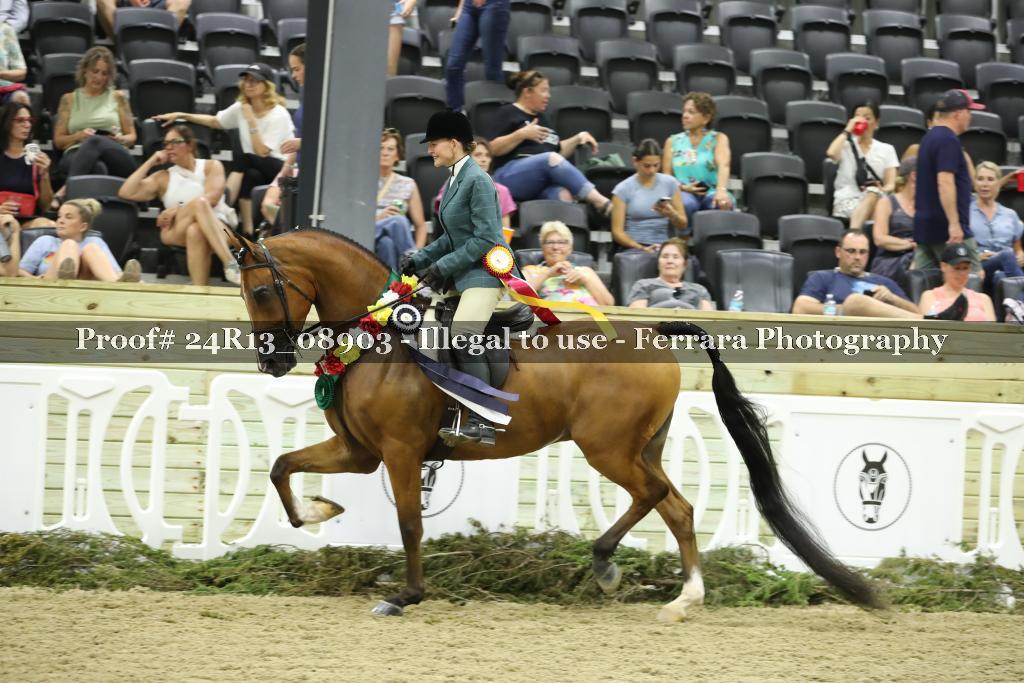 Proof 24R13_08903