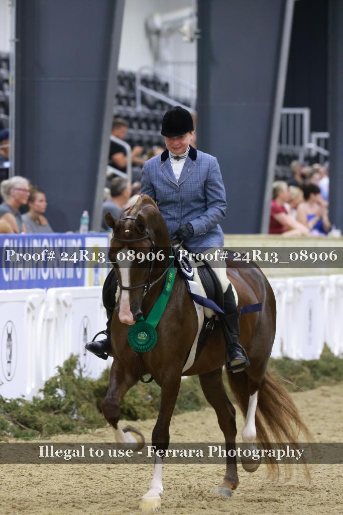 Proof 24R13_08906