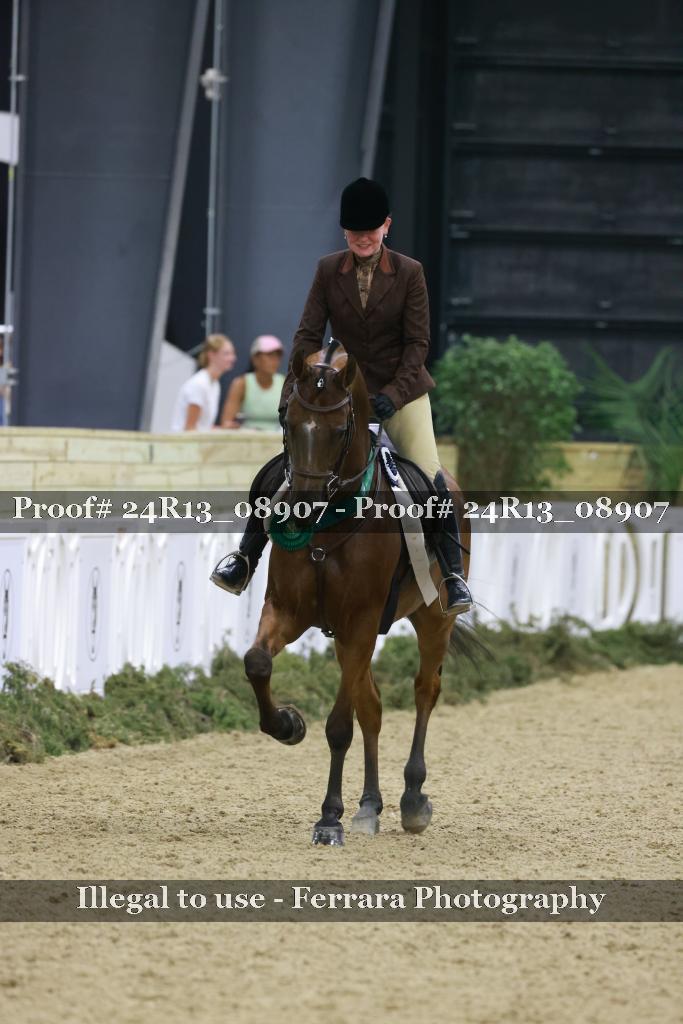 Proof 24R13_08907