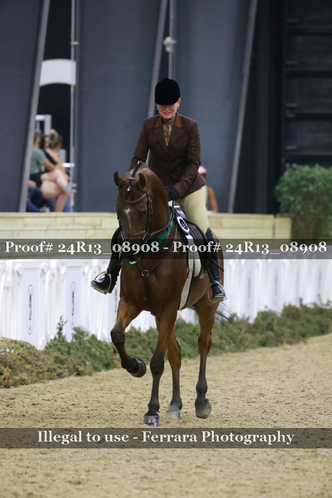 Proof 24R13_08908