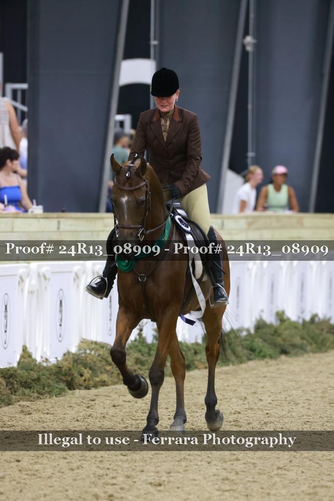 Proof 24R13_08909