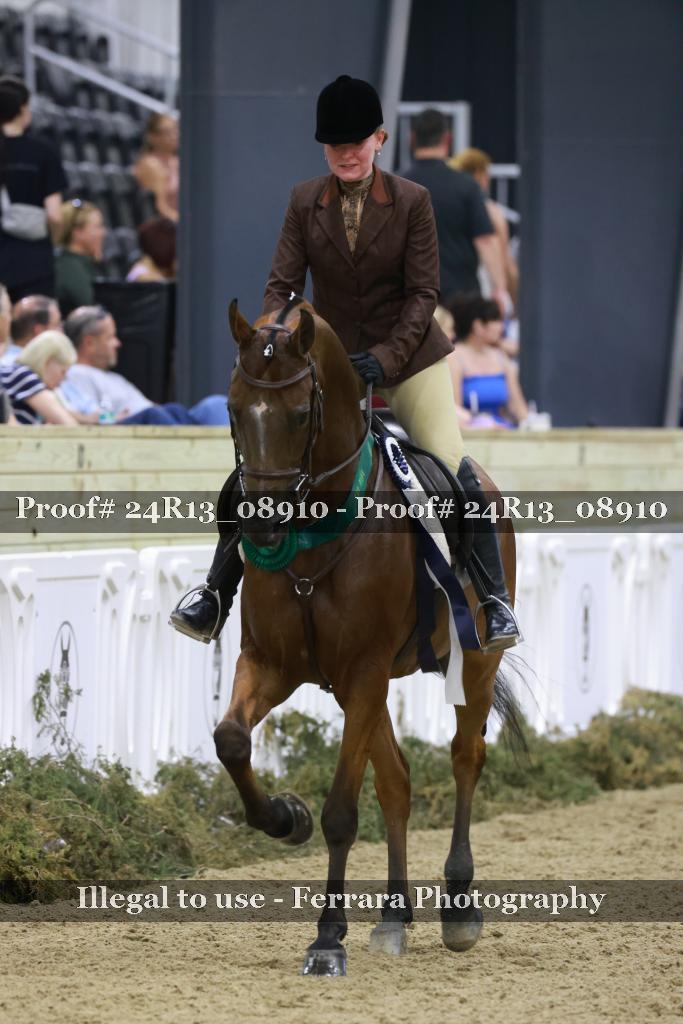 Proof 24R13_08910