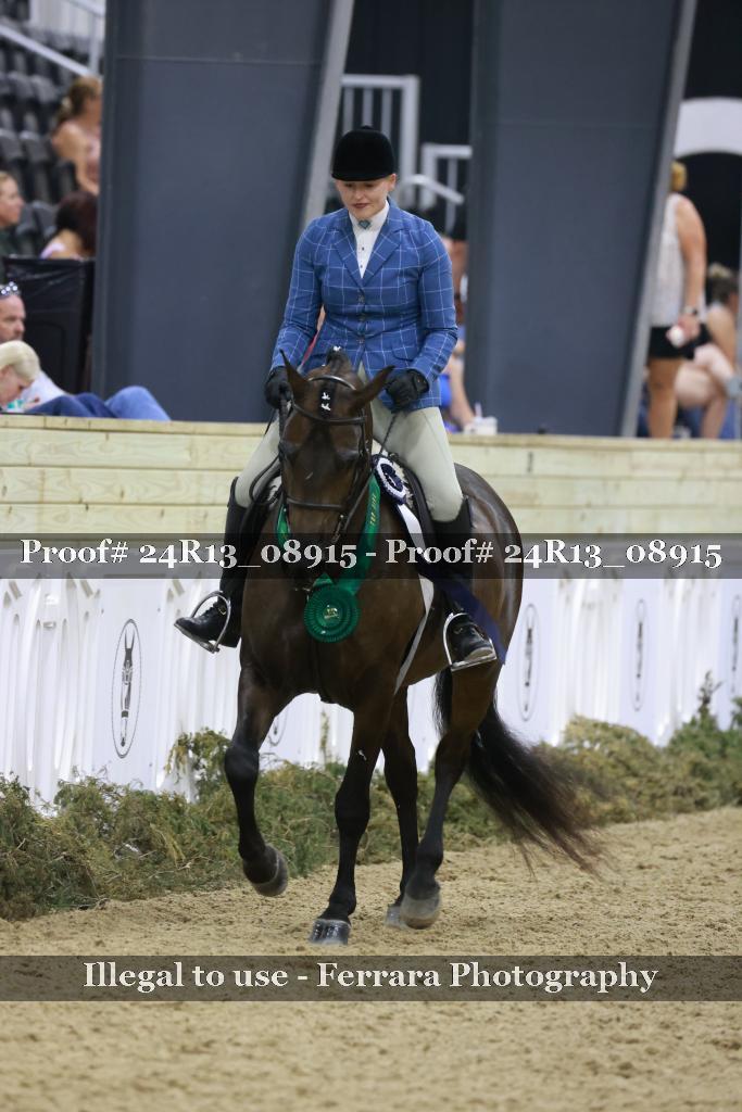Proof 24R13_08915