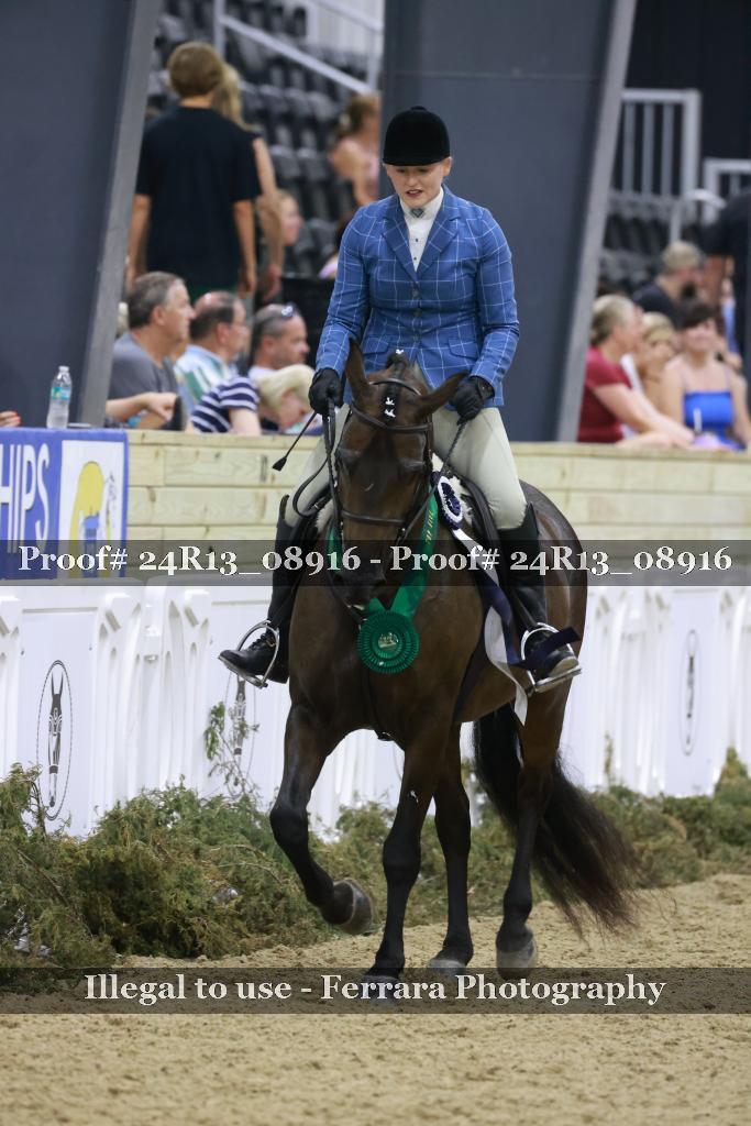 Proof 24R13_08916