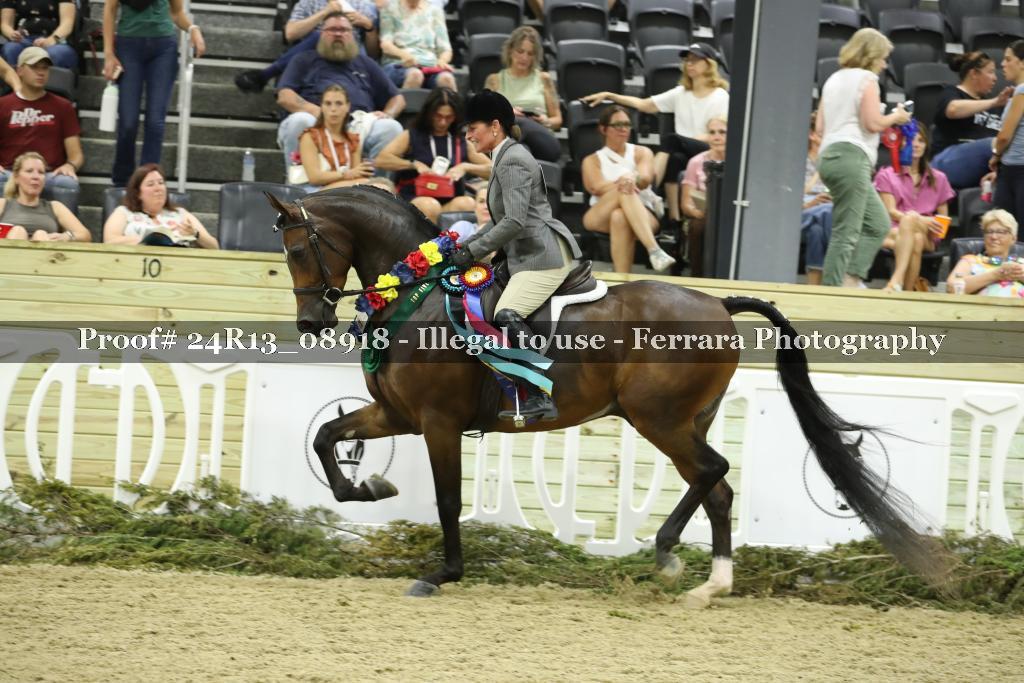 Proof 24R13_08918