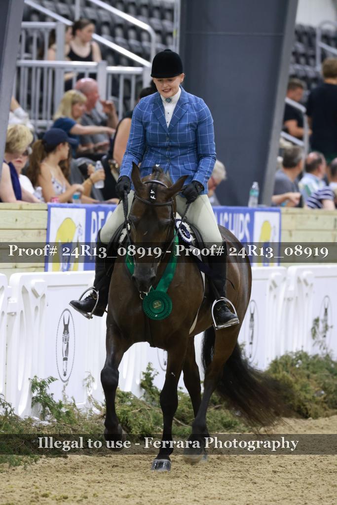 Proof 24R13_08919