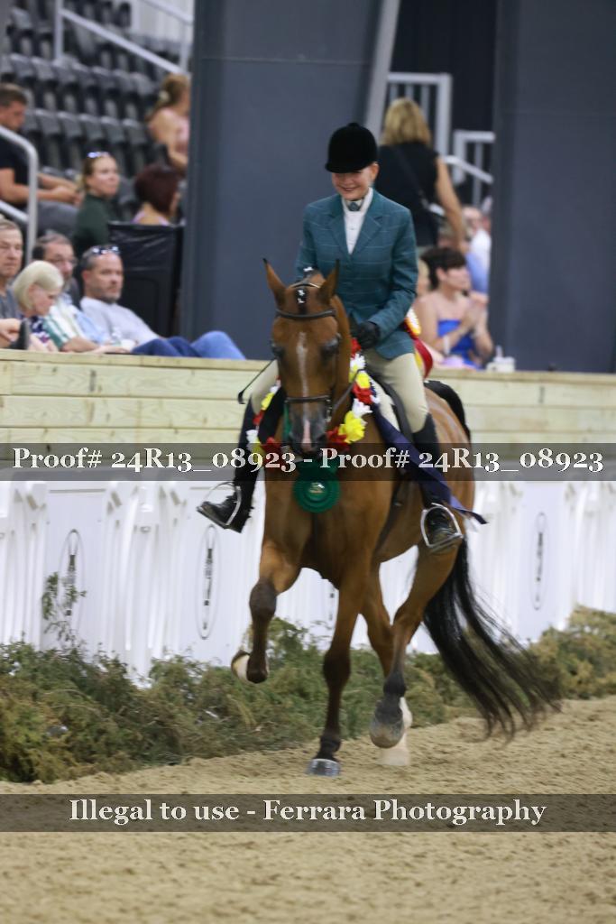 Proof 24R13_08923