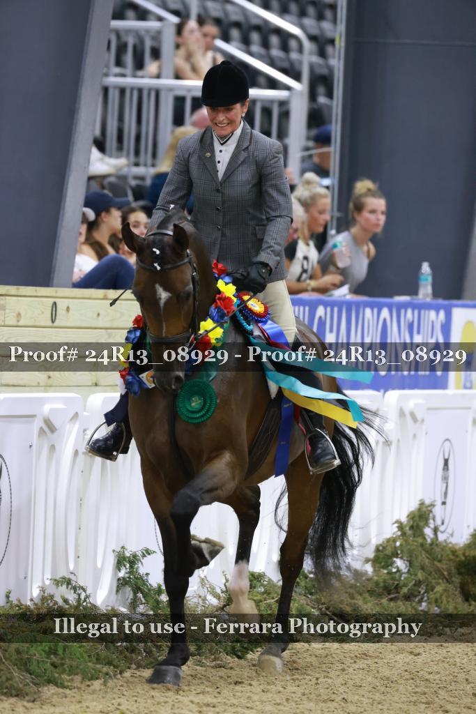 Proof 24R13_08929