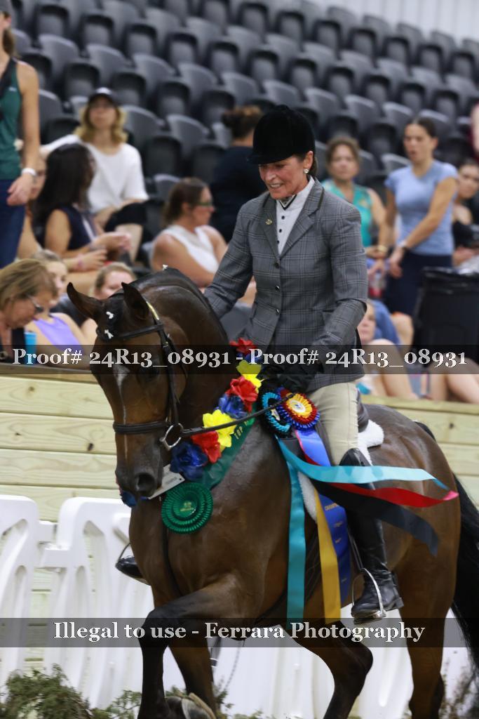 Proof 24R13_08931