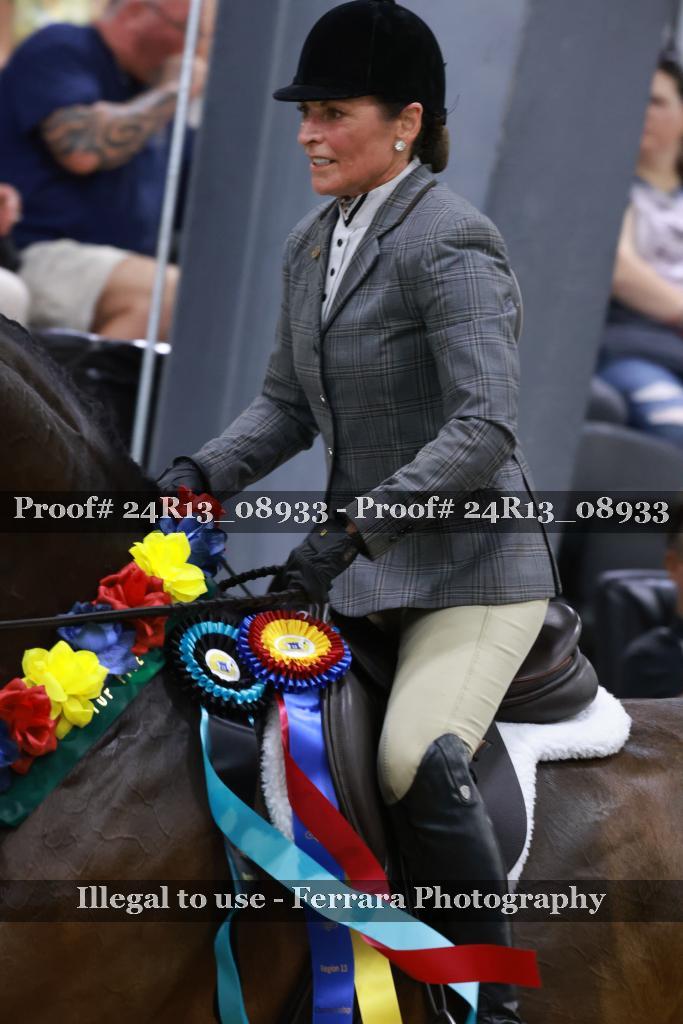 Proof 24R13_08933