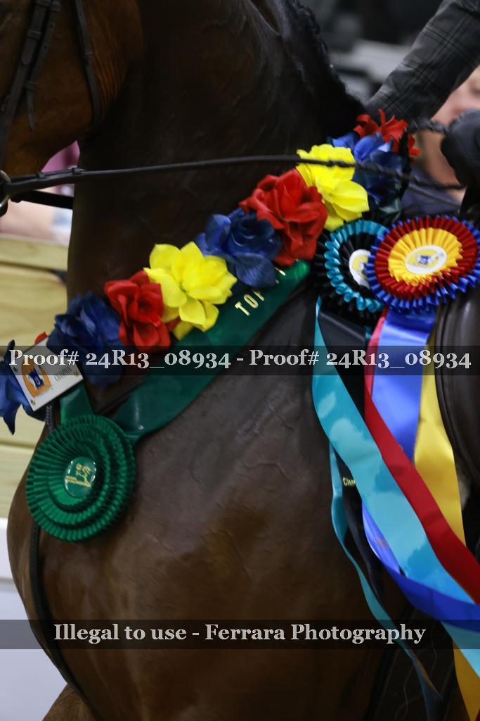 Proof 24R13_08934