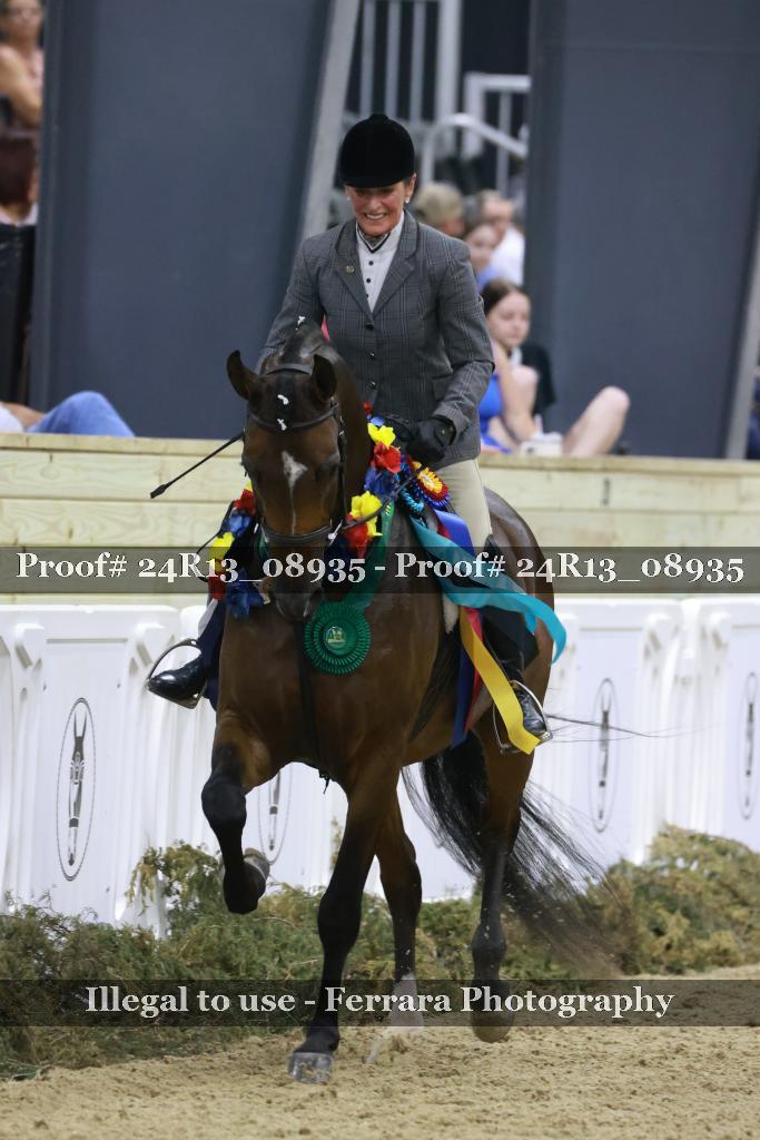 Proof 24R13_08935