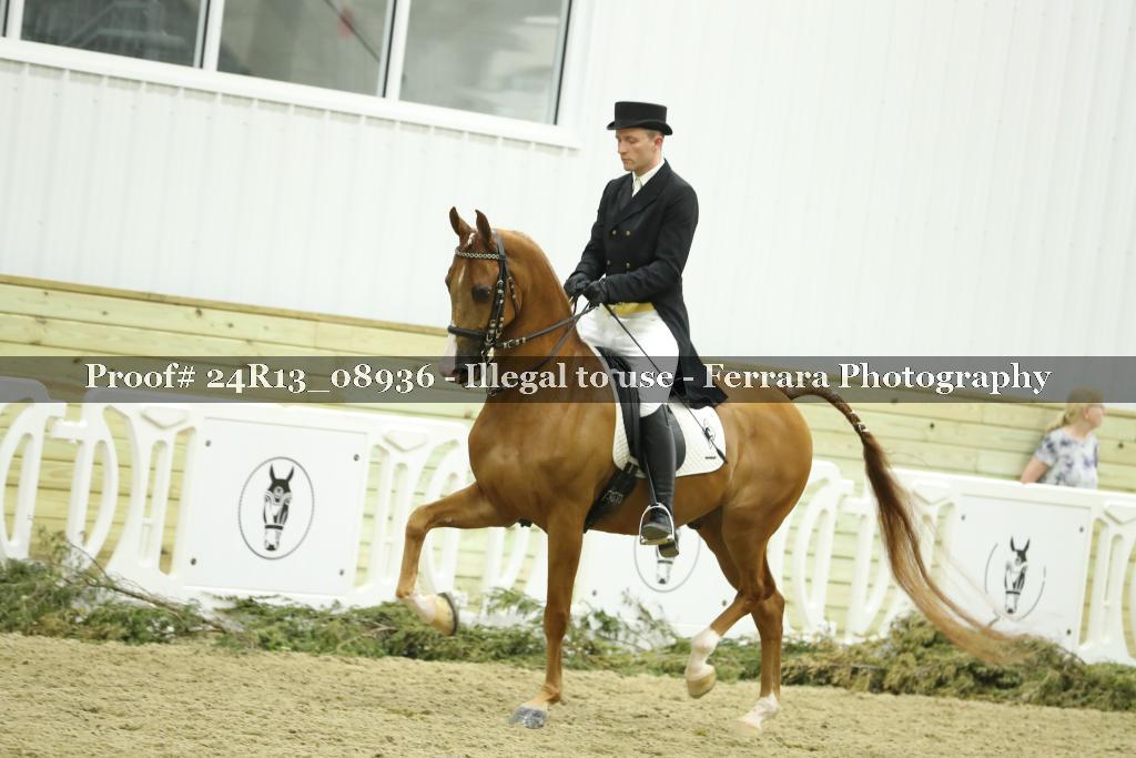 Proof 24R13_08936