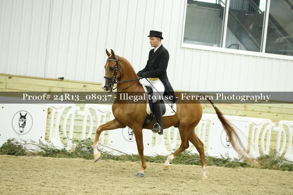 Proof 24R13_08937