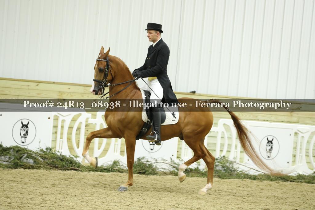 Proof 24R13_08938