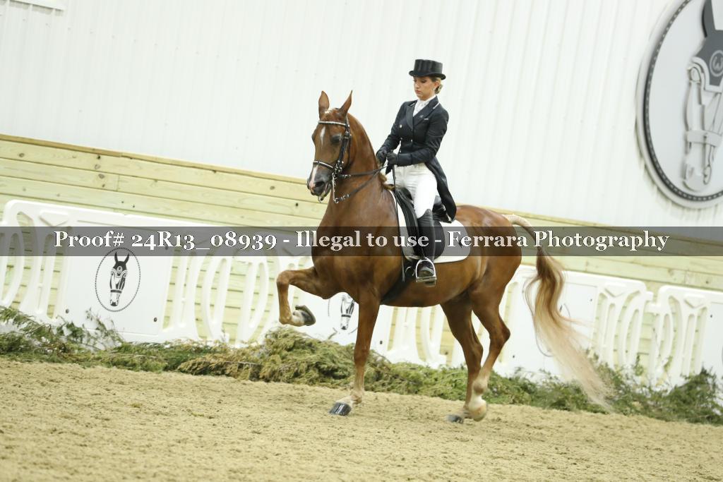 Proof 24R13_08939