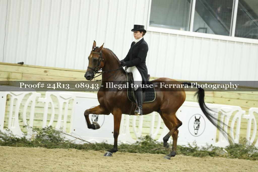 Proof 24R13_08943