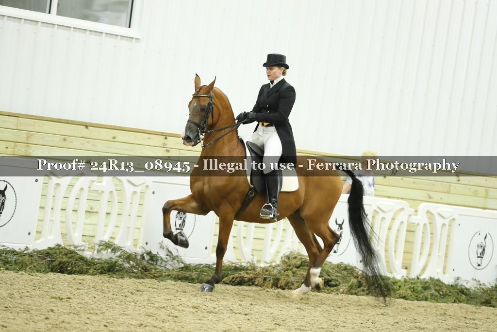 Proof 24R13_08945
