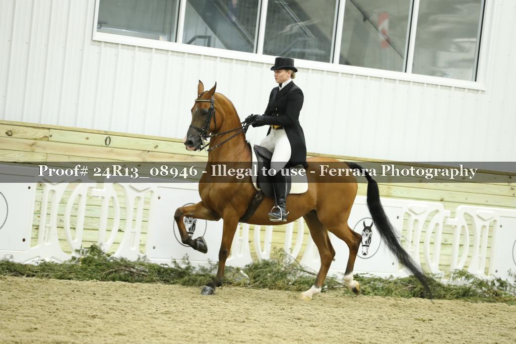 Proof 24R13_08946
