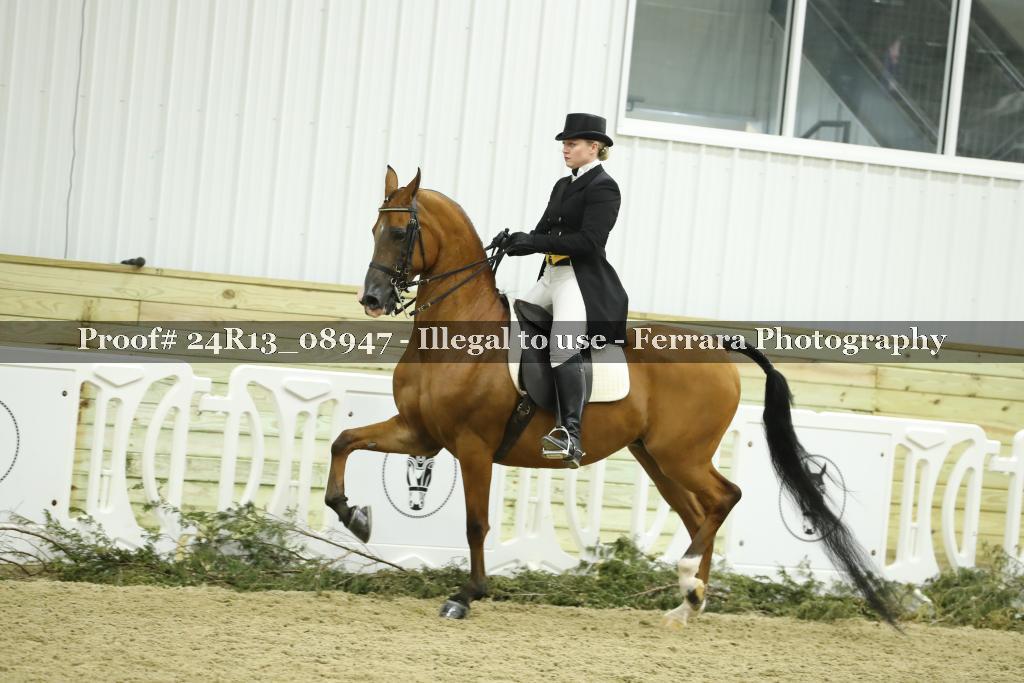 Proof 24R13_08947