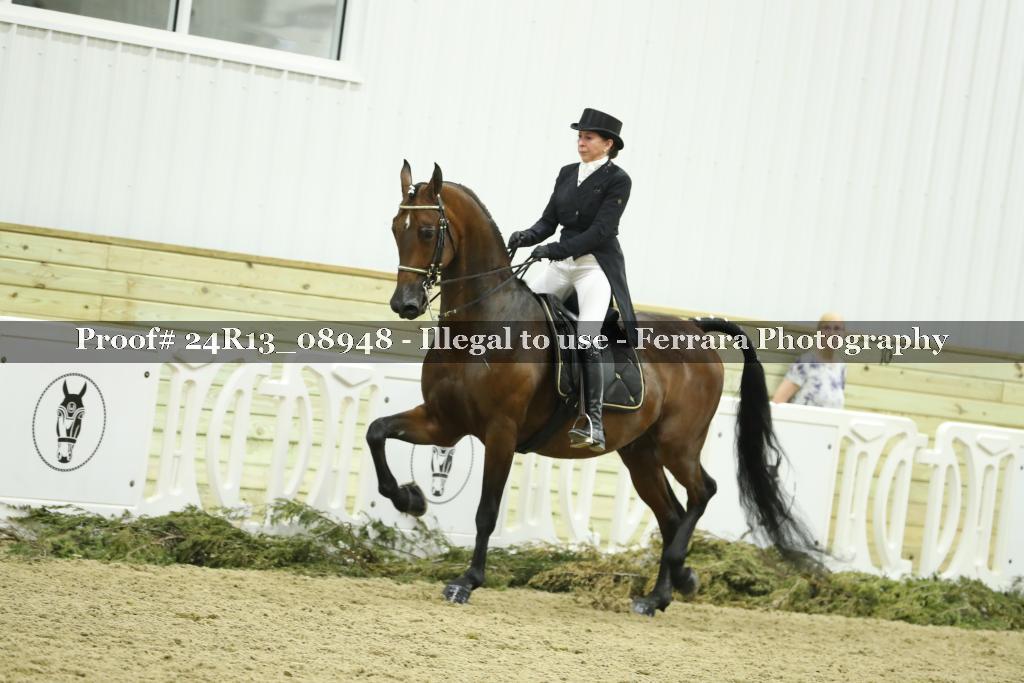 Proof 24R13_08948
