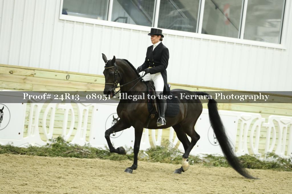 Proof 24R13_08951