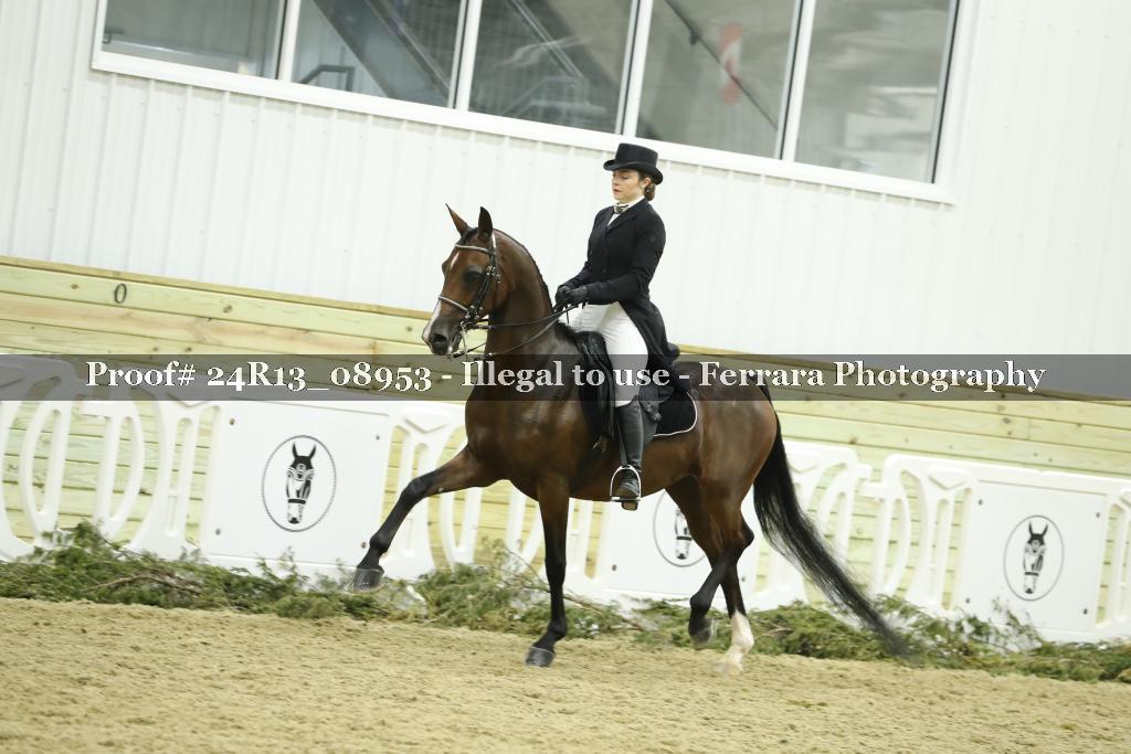Proof 24R13_08953