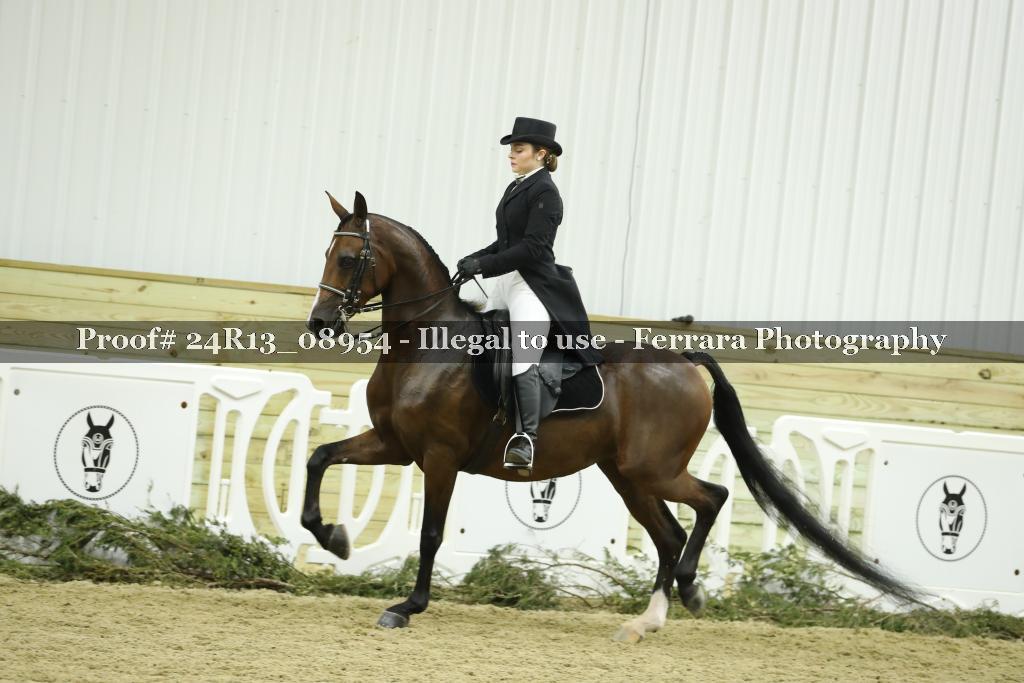 Proof 24R13_08954