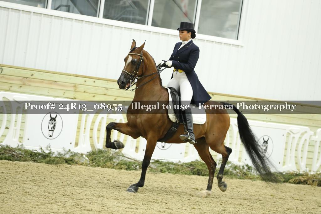 Proof 24R13_08955
