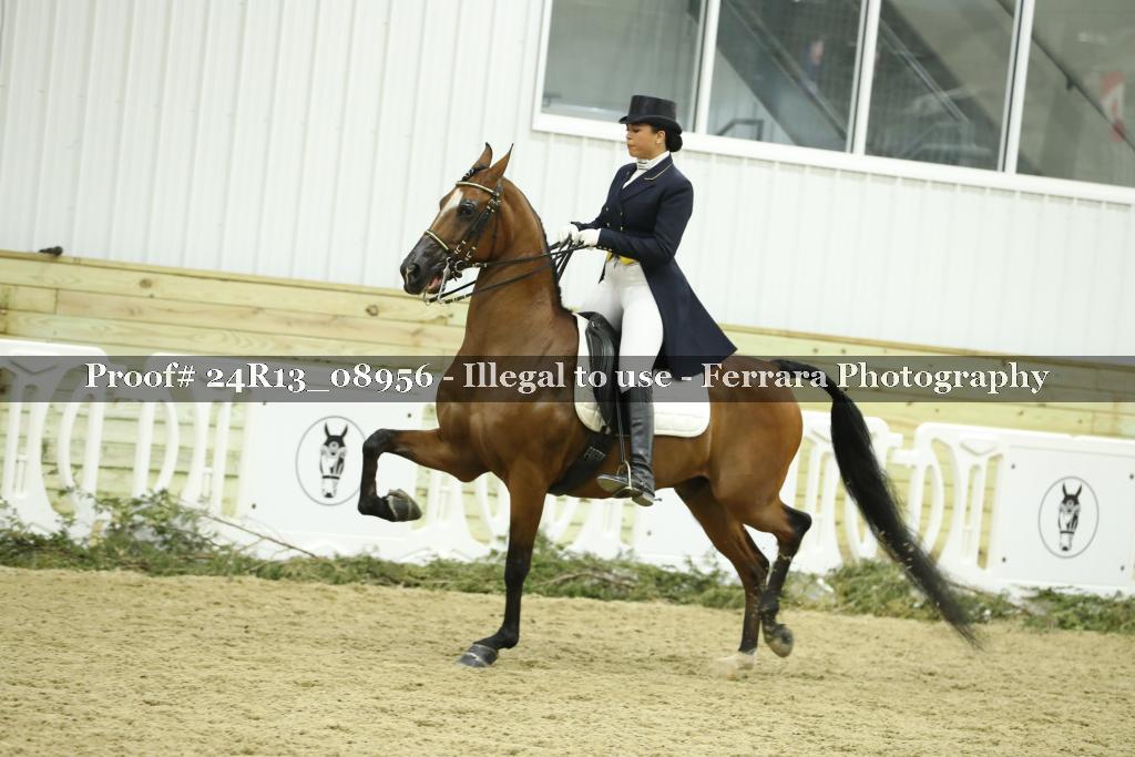 Proof 24R13_08956