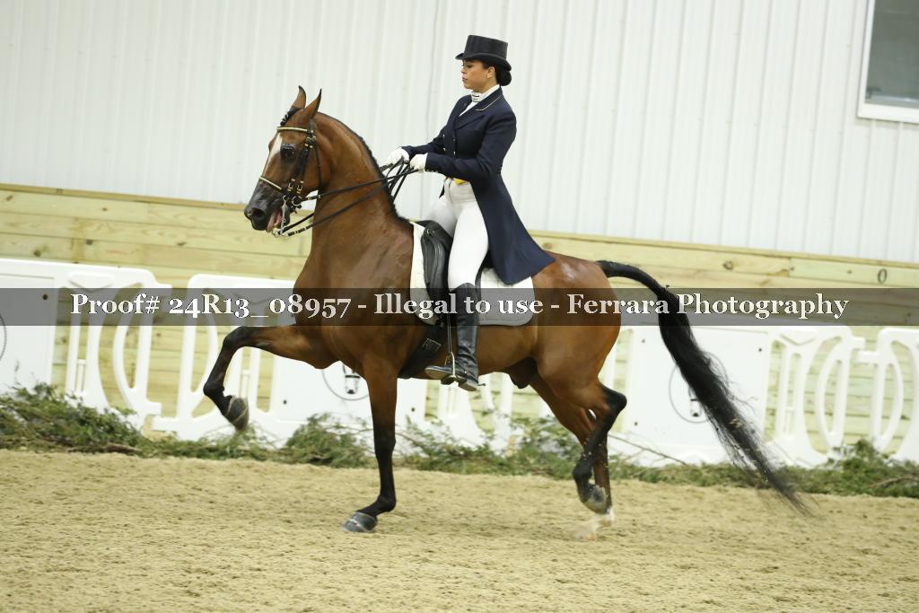 Proof 24R13_08957