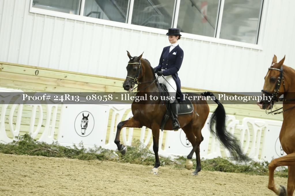 Proof 24R13_08958