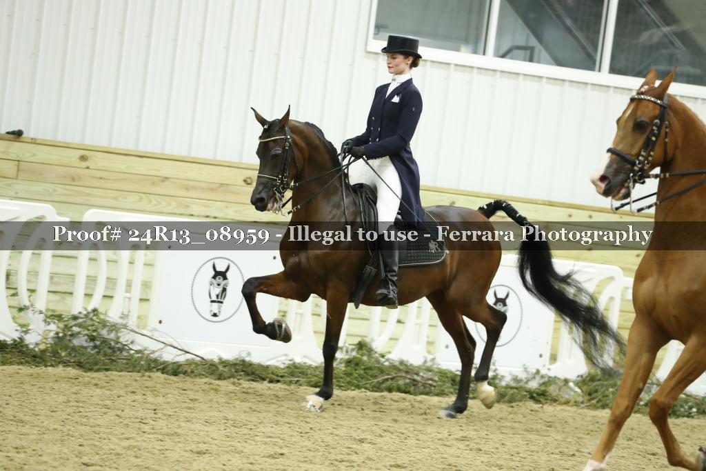 Proof 24R13_08959