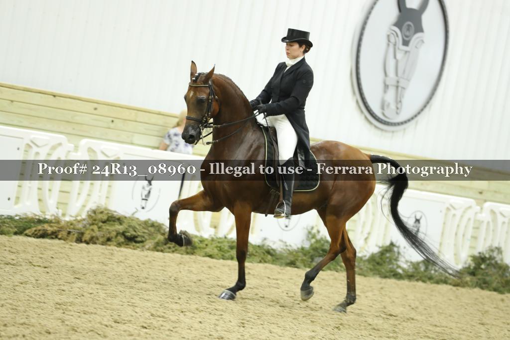 Proof 24R13_08960