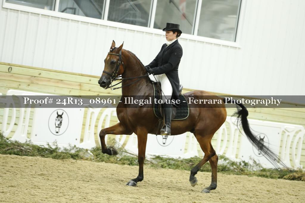 Proof 24R13_08961