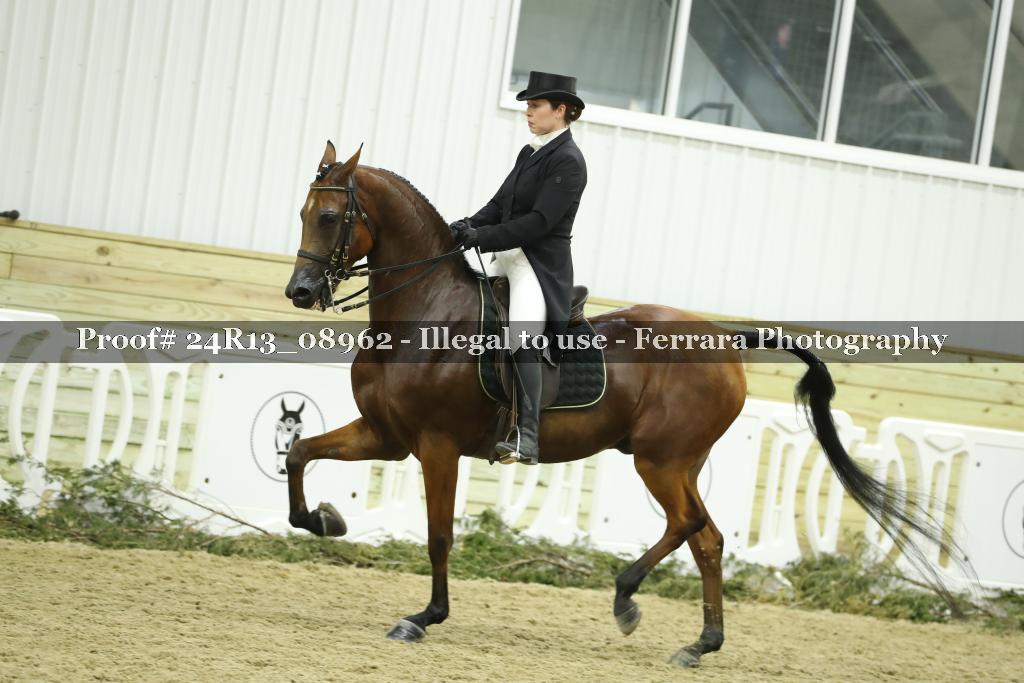 Proof 24R13_08962