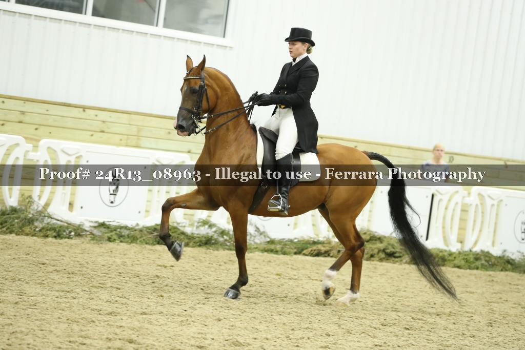 Proof 24R13_08963