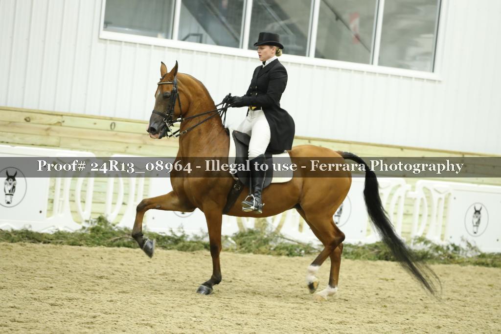 Proof 24R13_08964