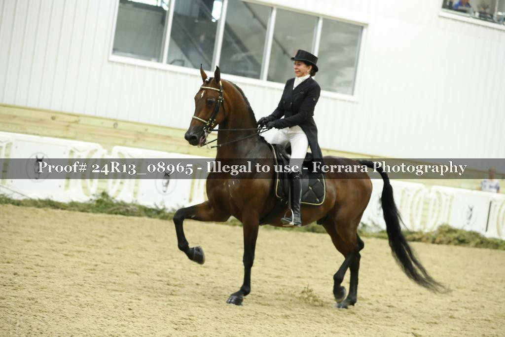 Proof 24R13_08965