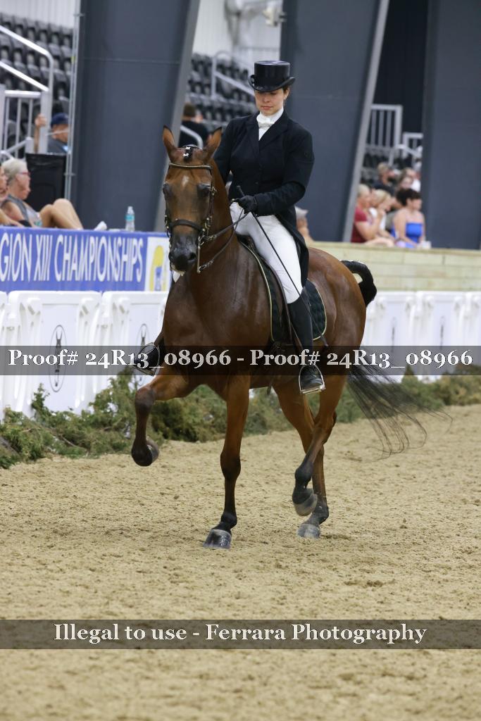 Proof 24R13_08966