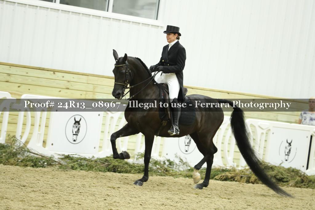Proof 24R13_08967