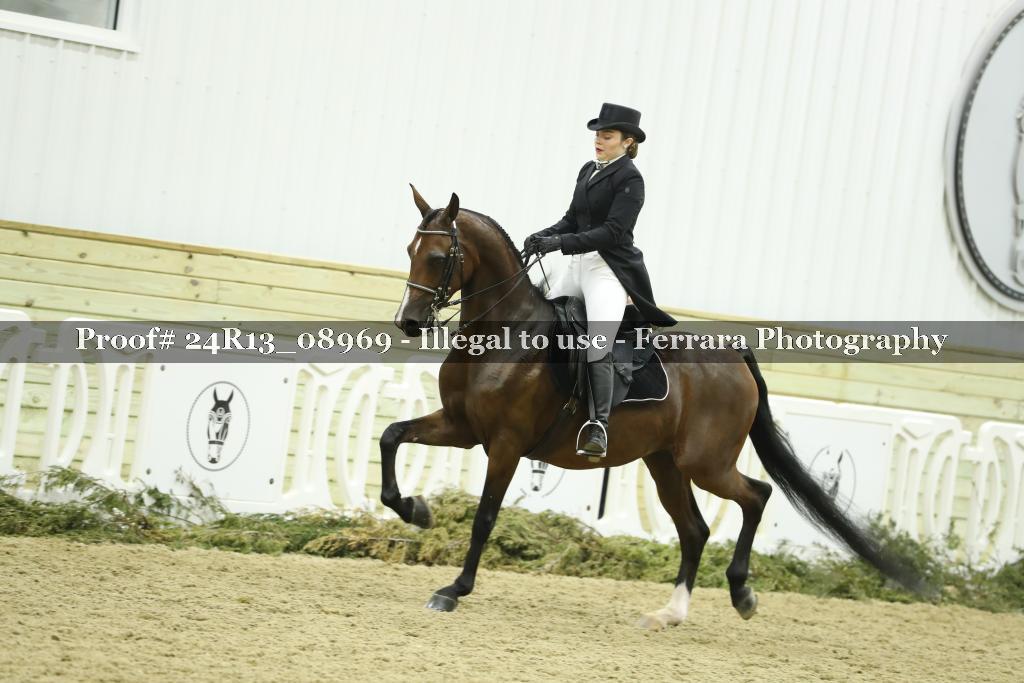 Proof 24R13_08969