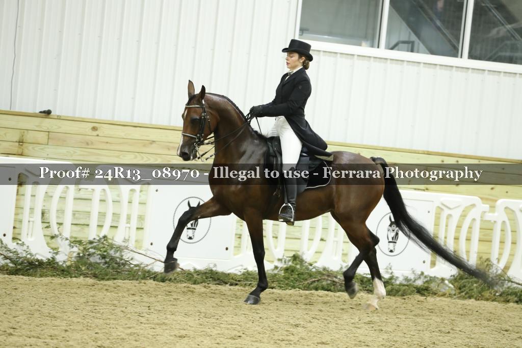Proof 24R13_08970