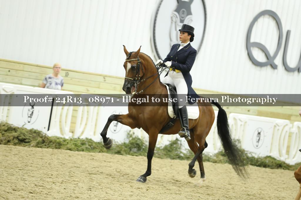 Proof 24R13_08971