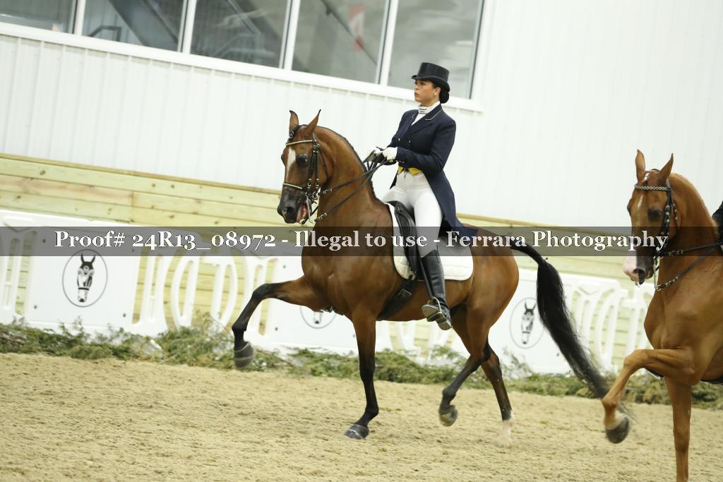 Proof 24R13_08972