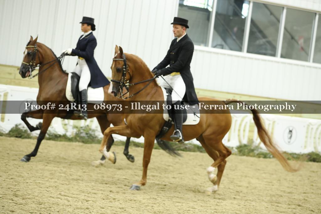 Proof 24R13_08973