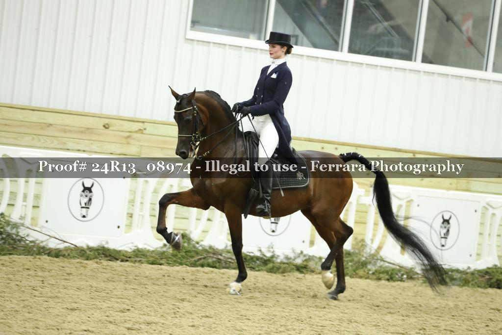 Proof 24R13_08974