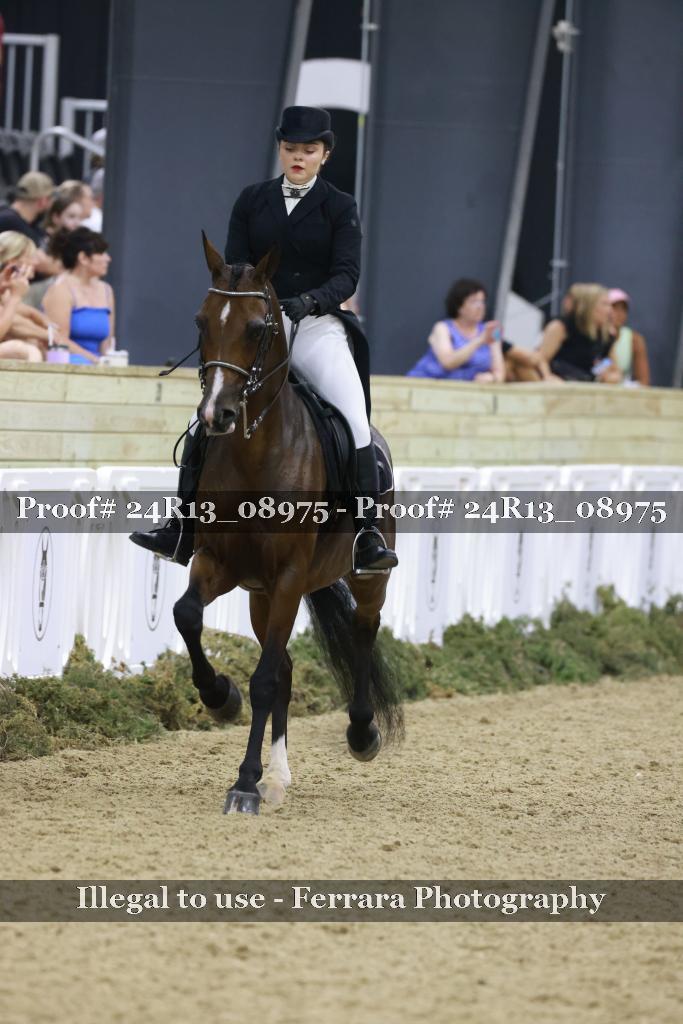 Proof 24R13_08975