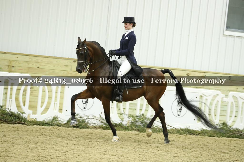 Proof 24R13_08976