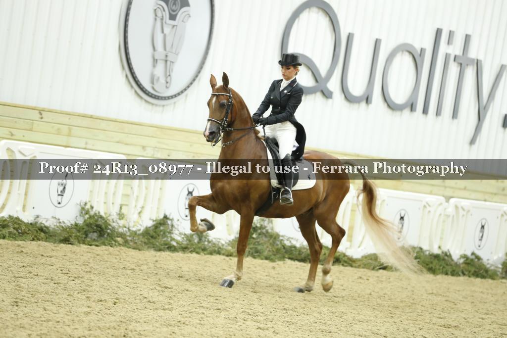 Proof 24R13_08977